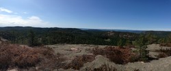 Rødbykollen