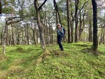 Vindåsen