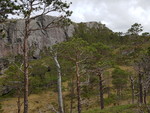 Sæterknubben