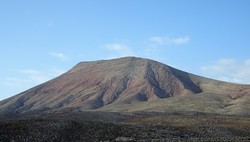 Roja
