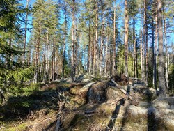 Tjernslihaugen