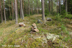 Brynsåsen