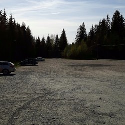 Erte marka parkering