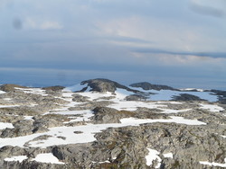 Odden