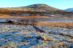 Tynsethøgda