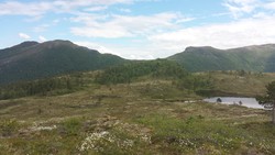 Svarthammaren