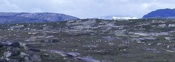 Øyvassheia