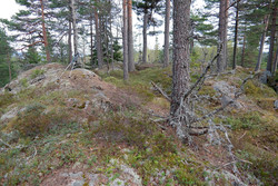 Luttjernshøgdene