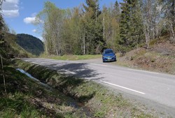 Røysa p-lomme
