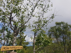 Brenntoppen