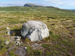 Grønsennhaugen