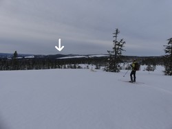 Vestre Skardhaugen
