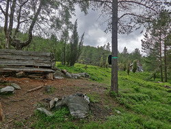Bjørkestølen
