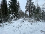 Hvileberget