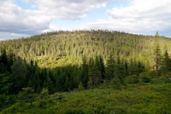 Ljosåsen