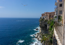 Bonifacio