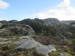 Geitatørne