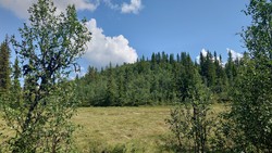 Øst for Myklesjøen