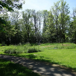 Hestehaugen