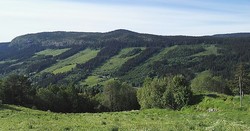 Høgehaugen