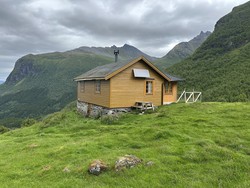 Velleseter