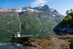 Reinviktinden
