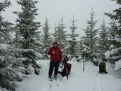 Tjernsvehaugen