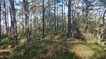 Vardafjell