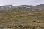 Grythøa
