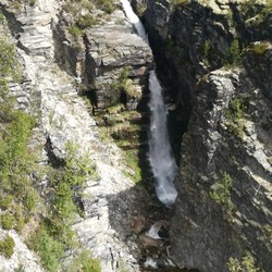 Dørfoss