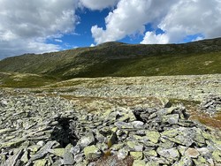 Gravdalen dyregrav