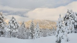 Ulvshaugen