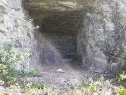 Pedorhula