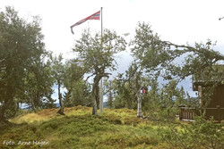 Grunnåsen