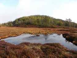 Vaktberget