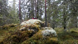 Sørvest for Storgryttjennet