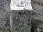 Bystein 57