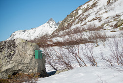 Bjønnalauvet
