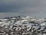 Steinheinuten