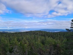 Skjenåsnatten utsikt mot øst