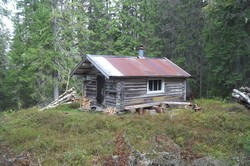 Løvknuten