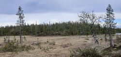 Garthusvasshaugen
