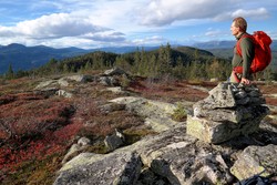 Grasingkollen