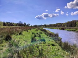 Nørholm Hede og Skov