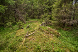 Rolighaugen