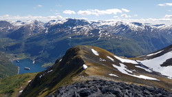 Turrvasshornet