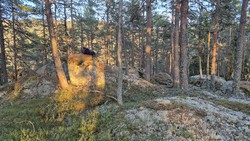 Langåsen