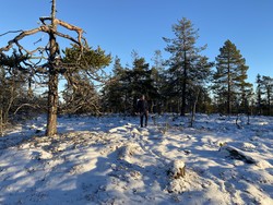 Gamlevollåsen