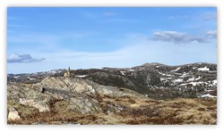 Bjørkaunheia