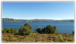 Madsøygalten